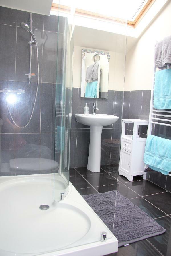 The Annexe, Tregoose House Apartment New Quay Екстериор снимка